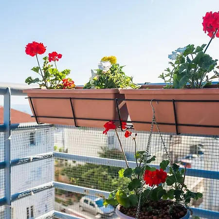 Apartman City Brezze *